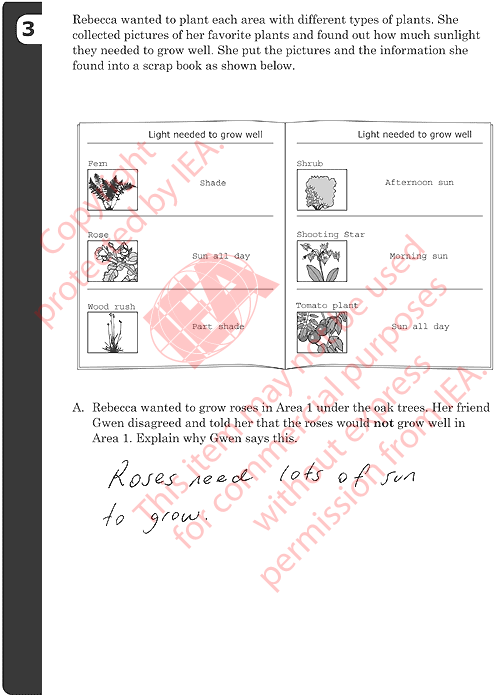 Garden Item 3a Sample Answer