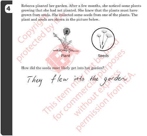 Garden Item 4 Sample Answer